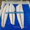 Frozen Rough Skin Oilfish Fillet Skinless (Ruvettus Pretiosus)